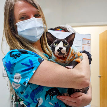 Stone Veterinary Hospital | Watertown, CT Veterinarians | Watertown, CT  Animal Hospital