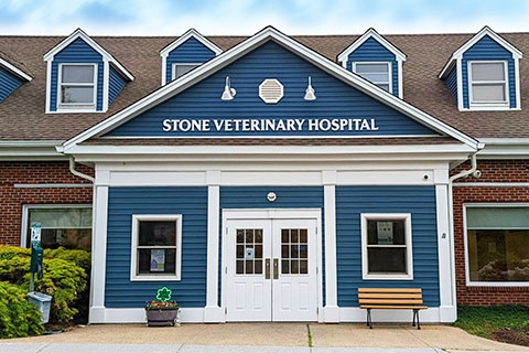 Stone Veterinary Hospital | Watertown, CT Veterinarians | Watertown, CT Animal  Hospital